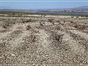 Topock Maze Archeological Site