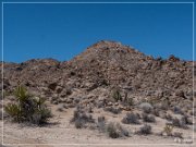 Yaranka Canyon Petroglyphs