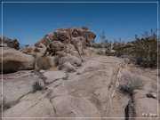 Yaranka Canyon Petroglyphs