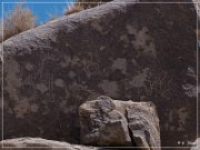 Yaranka Canyon Petroglyphs