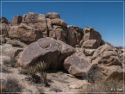 Yaranka Canyon Petroglyphs