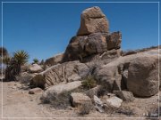 Yaranka Canyon Petroglyphs