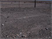 Yuha Desert, Yuha Geoglyph
