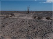 Yuha Desert, Yuha Geoglyph