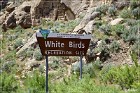 White Birds Site