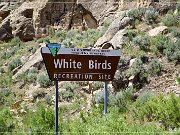 White Birds Site