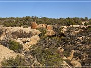 Horseshoe and Hackberry Groups