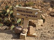 Horseshoe and Hackberry Groups