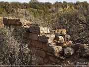 Horseshoe and Hackberry Groups