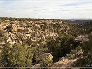 Horseshoe and Hackberry Groups