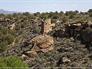 Square Tower Group