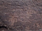 Irish Canyon Petroglyphs