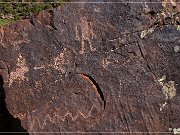 Irish Canyon Petroglyphs