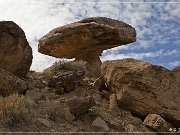 Ismay Petroglyphs