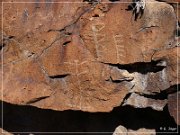 White River Narrows Petroglyphs - Ash Hill Site