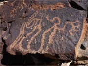 White River Narrows Petroglyphs