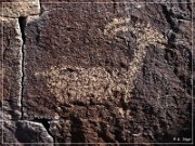 White River Narrows Petroglyphs - Ash Hill Site