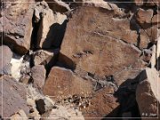 White River Narrows Petroglyphs - Ash Hill Site