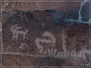 White River Narrows Petroglyphs - Ash Hill Site