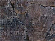 White River Narrows Petroglyphs - Ash Hill Site