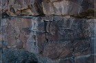 White River Narrows Petroglyphs - Ash Hill Site