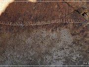 White River Narrows Petroglyphs - Calender Fence Site