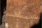 White River Narrows Petroglyphs - Calender Fence Site