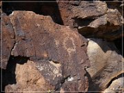 White River Narrows Petroglyphs - Cane Site