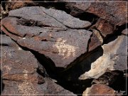 White River Narrows Petroglyphs - Cane Site