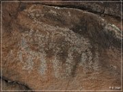 White River Narrows Petroglyphs - Cane Site