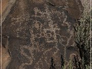 White River Narrows Petroglyphs - Cane Site