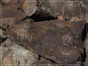 White River Narrows Petroglyphs - Cane Site