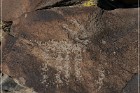 White River Narrows Petroglyphs - Cane Site