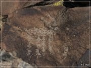 White River Narrows Petroglyphs - Cane Site