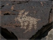 White River Narrows Petroglyphs - Cane Site