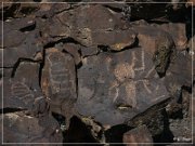 White River Narrows Petroglyphs - Cane Site