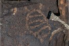 White River Narrows Petroglyphs - Cane Site