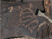 White River Narrows Petroglyphs - Cane Site