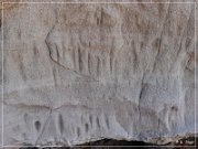 White River Narrows Petroglyphs