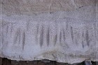 White River Narrows Petroglyphs