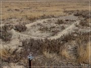 Baker Archaeological Site