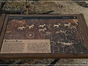 Grapevine Canyon Petroglyphs