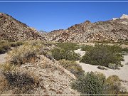 Grapevine Canyon Petroglyphs