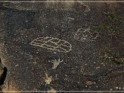 Grapevine Canyon Petroglyphs