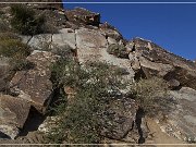 Grapevine Canyon Petroglyphs