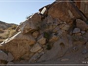 Grapevine Canyon Petroglyphs