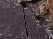 Grapevine Canyon Petroglyphs