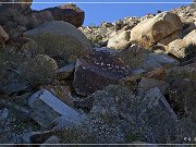 Grapevine Canyon Petroglyphs