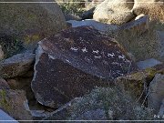 Grapevine Canyon Petroglyphs