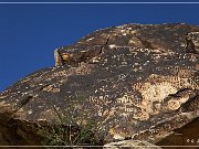 Grapevine Canyon Petroglyphs